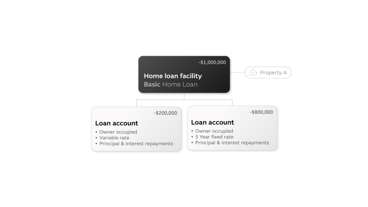 Choosing your home loan example infographic 2